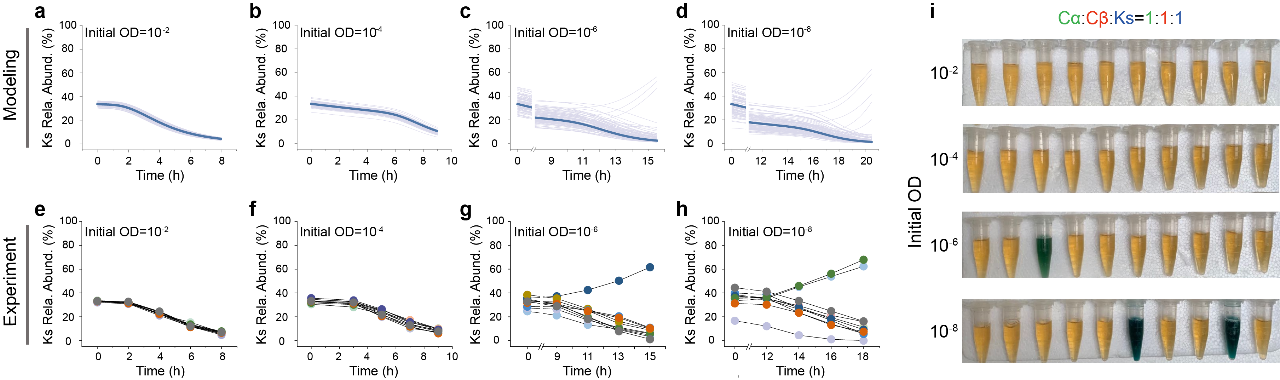 1589441926.png 图片3.png