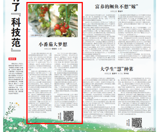 吴酬飞博士助推玉山小番茄种植事业