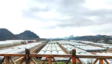 项目设计与实施