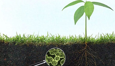 土壤检测与分析